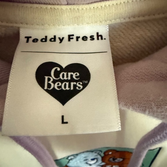 Teddy Fresh x Care Bears Colorblock Hoodie Sweatshirt Size Large - Picture 7 of 8